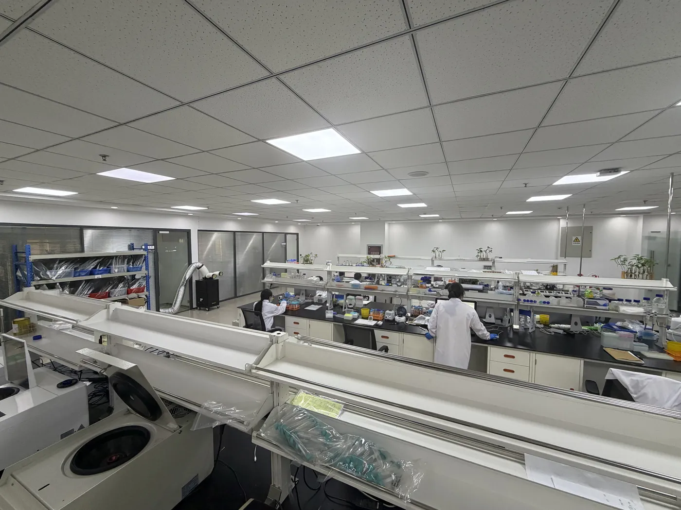 R&D laboratory